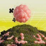 Why Humans Innately Distrust Other Forms Of Intelligence