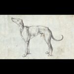 Screwball Tragedy: Considering Kafka’s Funniest Story
