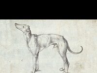 Screwball Tragedy: Considering Kafka’s Funniest Story