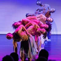 Fired Members Of Dallas Black Dance Theatre Reunite For A Final Performance