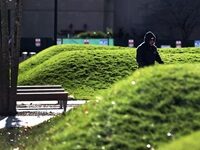 How Could MIT Buy And Build Land Art By Maya Lin And Not Tell Anyone About It?