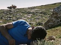 This Year, Distributors And Streamers Won’t Go Near Documentaries On Sensitive Subjects