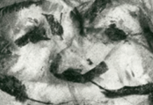 Contemplating Frank Auerbach’s Work