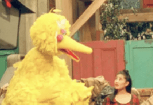 Public Broadcasters, Facing The Ire Of Elon Musk, Brace For Huge Funding Battles