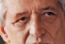 Michel Del Castillo, Who Published A Vivid, Child-Aged Account Of The Holocaust, Has Died At 91