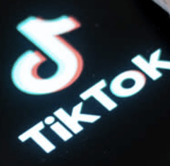 The President-Elect, Who Once Tried To Ban TikTok, Asks The Supreme Court To Hold Off