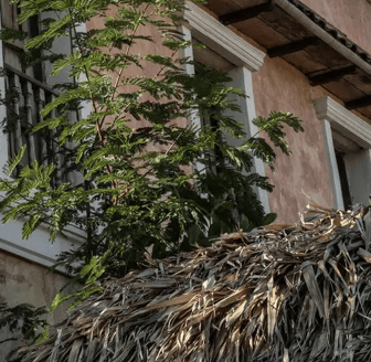 Macondo, The TV Version, Versus Colombia, The Real One
