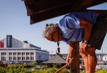 Transformative: New Seattle Sales Tax For The Arts Generates Tens Of Millions Of Dollars