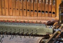 Charlotte Symphony Is Making Big Investments In Immersive Performances