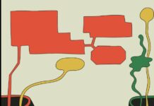 How Much Does Our Language Shape The Ways We Think?