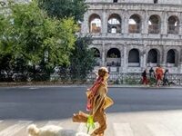 Italian Museums Try Offering Free Dog-Sitting Services For Visitors
