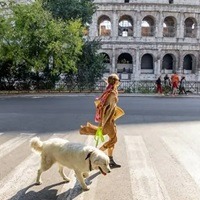 Italian Museums Try Offering Free Dog-Sitting Services For Visitors