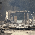 In Los Angeles, Artists’ Life Work Has Gone Up Into Smoke And Ashes