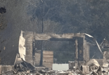 In Los Angeles, Artists’ Life Work Has Gone Up Into Smoke And Ashes