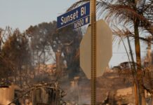 Why Have Republicans Been Slamming LA After The Fires? Something To Do With Artists?