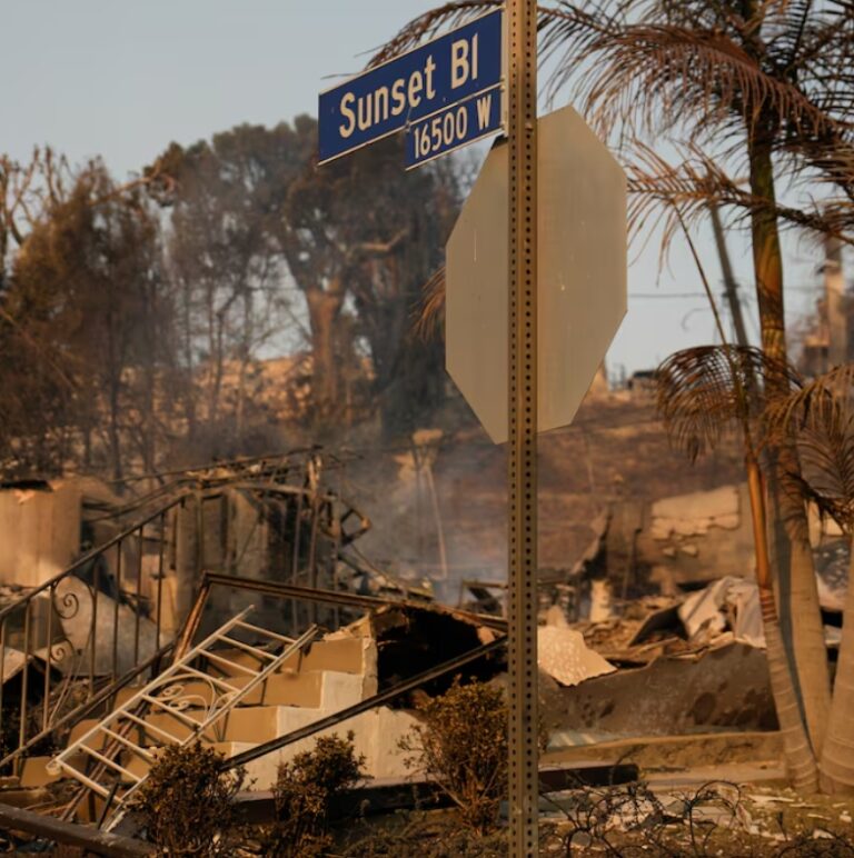 Why Have Republicans Been Slamming LA After The Fires? Something To Do With Artists?