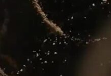 What’s With All the Bizarre Stuff Behind TV Credits?