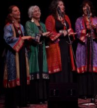 Bay Area Arts Organizations In Funding Crisis
