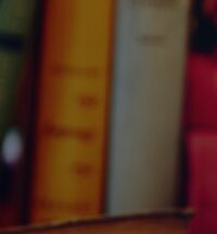 Wacky Premise, Crazy Start: Some Of 2024’s Best Books (As Chosen By Editors)