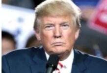 What Publishers Are Expecting In The Second Trump Administration