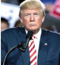 What Publishers Are Expecting In The Second Trump Administration