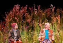 Five Years After COVID: How Australia’s Theatres Are Doing