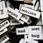 Who Are We If We Lose The Ability of Language?