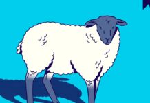 Question Everything? Then What Does Anything Mean?