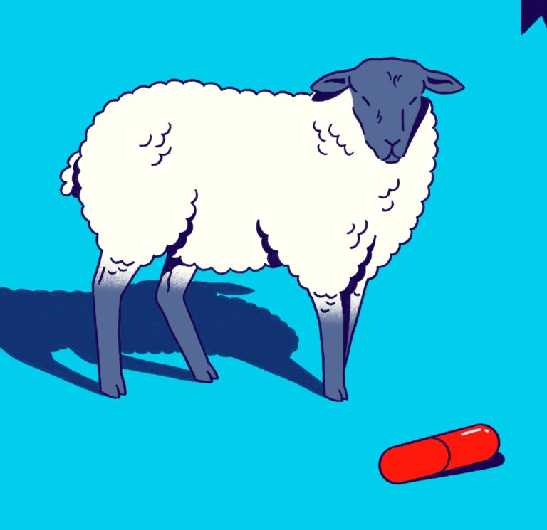 Question Everything? Then What Does Anything Mean?