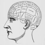 Ways To Think About Being Stupid