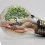 Changes Writers Would Like To See In Australia’s Book Publishing Industry