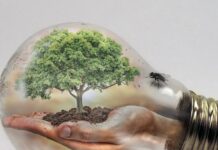 Changes Writers Would Like To See In Australia’s Book Publishing Industry