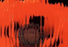 The Super-Communication Technologies That Separate Us