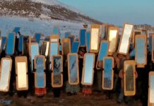 Ten Most-Interesting Museum Acquisitions Of 2024