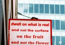 Storytelling And The Art Of Advice