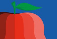 Can What You Eat Change Your Brain?