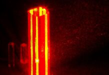 The Role Of Beauty In Science