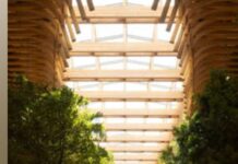 Could (Should?) Cities Be Built Of Wood?