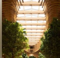 Could (Should?) Cities Be Built Of Wood?