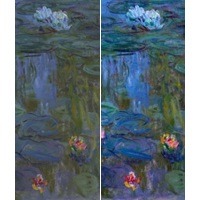 Behold The Portland Museum Of Art’s Restored Monet Waterlilies