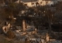 What Kind Of Los Angeles Will Now Arise?