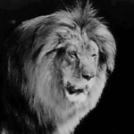 How Metro-Goldwyn-Mayer Film Came About, And Created The American Dream