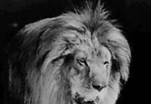 How Metro-Goldwyn-Mayer Film Came About, And Created The American Dream