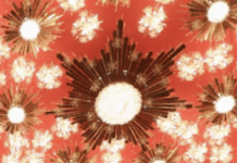 What Canada Thinks About The New Kennedy Center Guy