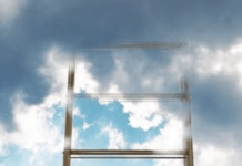 The Dream Accessory Of Every Booklover