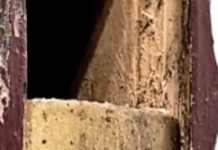 These Objects Look Like Books, But Don’t Expect To Read Them