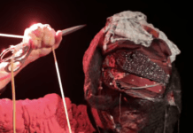 The World’s First Sewing Machine Orchestra Hit Germany This Weekend