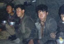 Glorifying Ignorance. What Could Go Wrong?