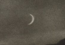 Contemplating The Mortality Of All Things