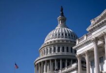 An Arts Advocacy Summit: Will It Have Any Impact?